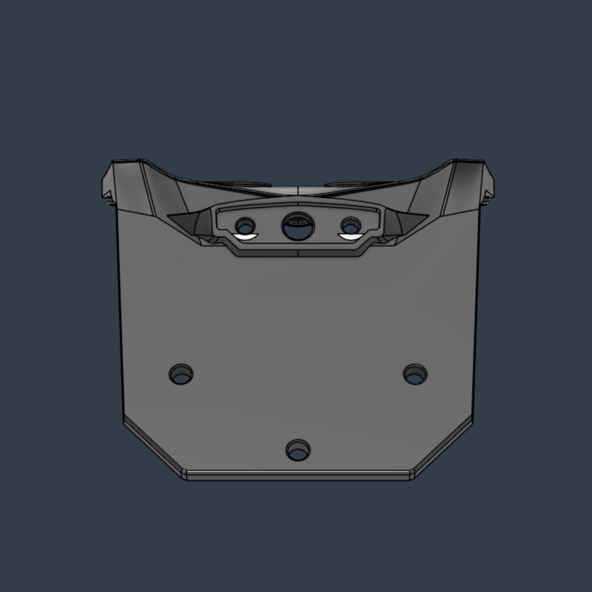 Soporte de matrícula Rieju 307